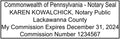 Pennsylvania Rectangular Notary Stamp | Official State Notary Stamp | Official Seals | Meets State Specifications (Pennsylvania, Rectangular Stamp)