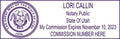 Utah Rectangular Notary Stamp | Official State Notary Stamp | Official Seals | Meets State Specifications (Utah, Rectangular Stamp)