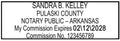 Arkansas Rectangular Notary Stamp | Official State Notary Stamp | Official Seals | Meets State Specifications (Arkansas, Rectangular Stamp)