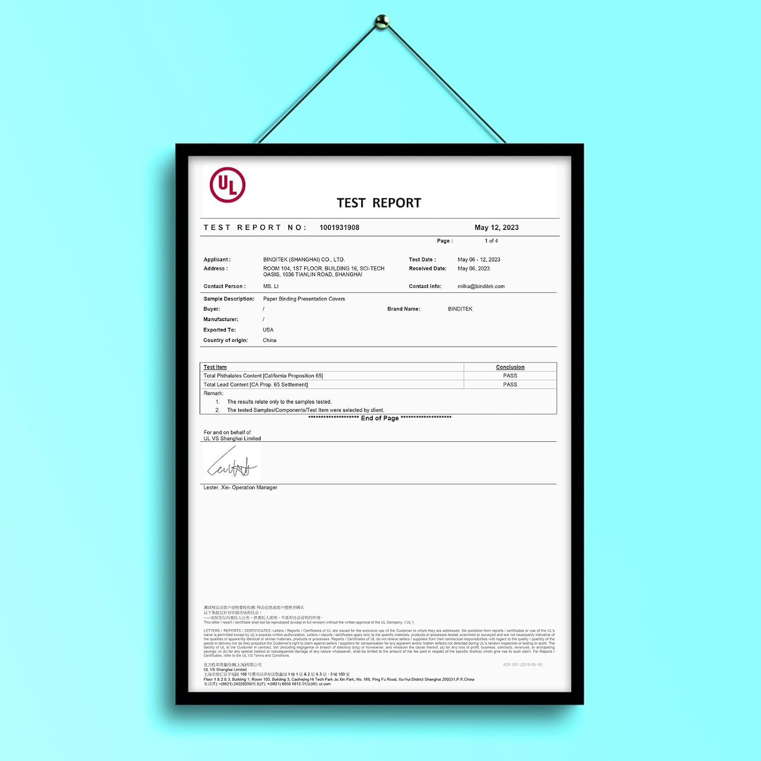 Binditek 100 Pack Grain Texture Paper Binding Presentation Covers, Letter Size, 13Mil, 90lb, 8.5 x 11 Inches, Un-Punched, Green