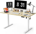 55x28 Inches Whole Piece Electric Standing Desk, Seamless One Piece Height Adjustable Sit to Stand up Desk for Home Office, Ergonomic Computer Workstation, Oak
