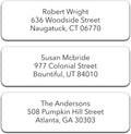 250 Personalized Return Address Labels - Custom Address Labels on Sheets