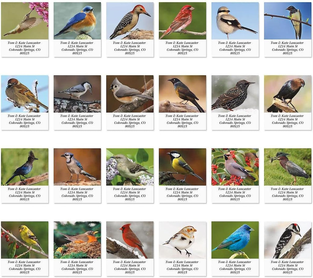 Colorful Images Birds of North America Return Address Mailing Labels, Personalize with Name & Addresses, Set of 144 Self Adhesive, Easy Peel Flat Label Sheets, 1 ½ x 1 ¾”, 24 Designs