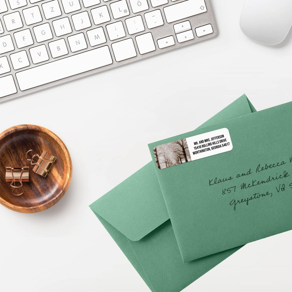 Scenic Landscape Rolled Address Labels / 250 Personalized Return Address Labels/Designer Address Stickers in Elegant Plastic Dispenser
