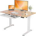 YDN Standing Desk with Drawers, Height Adjustable Desk 48 x 24 Inch, Electric Sit Stand Home Office, Natural