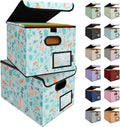BALEINE File Organizer Box with Lid, Collapsible File Folder Organizer with Plastic Slide, Hanging File Folder Box for Office Document Storage (2 Pack, Spring Stroll)