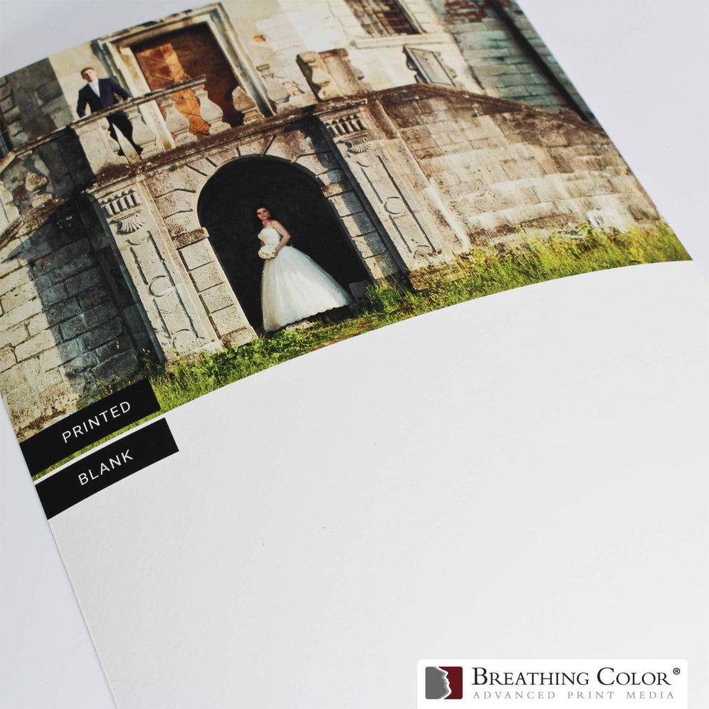 Elegance Velvet 60 in x 40 ft roll is a Premium Matte 310 gsm, Cold Pressed Bright White Museum Grade Fine Art Inkjet Paper, Compatible with Most Dye-Based and Pigment Printers