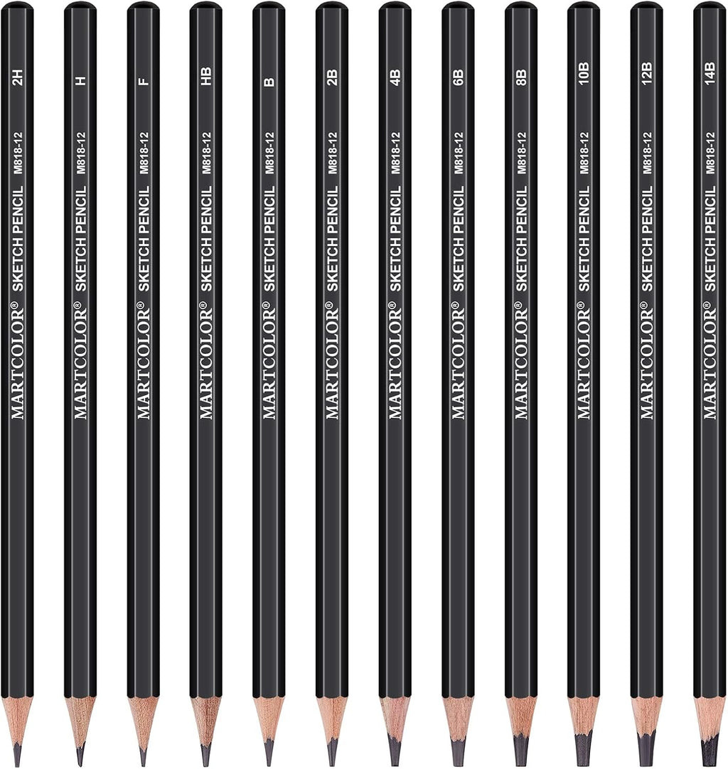Drawing Sketching Pencils Set, 12 Pack Graphite Pencils(14B - 2H), Ideal for Drawing Art, Sketching, Shading, Artist Pencils for Beginners & Pro Artists