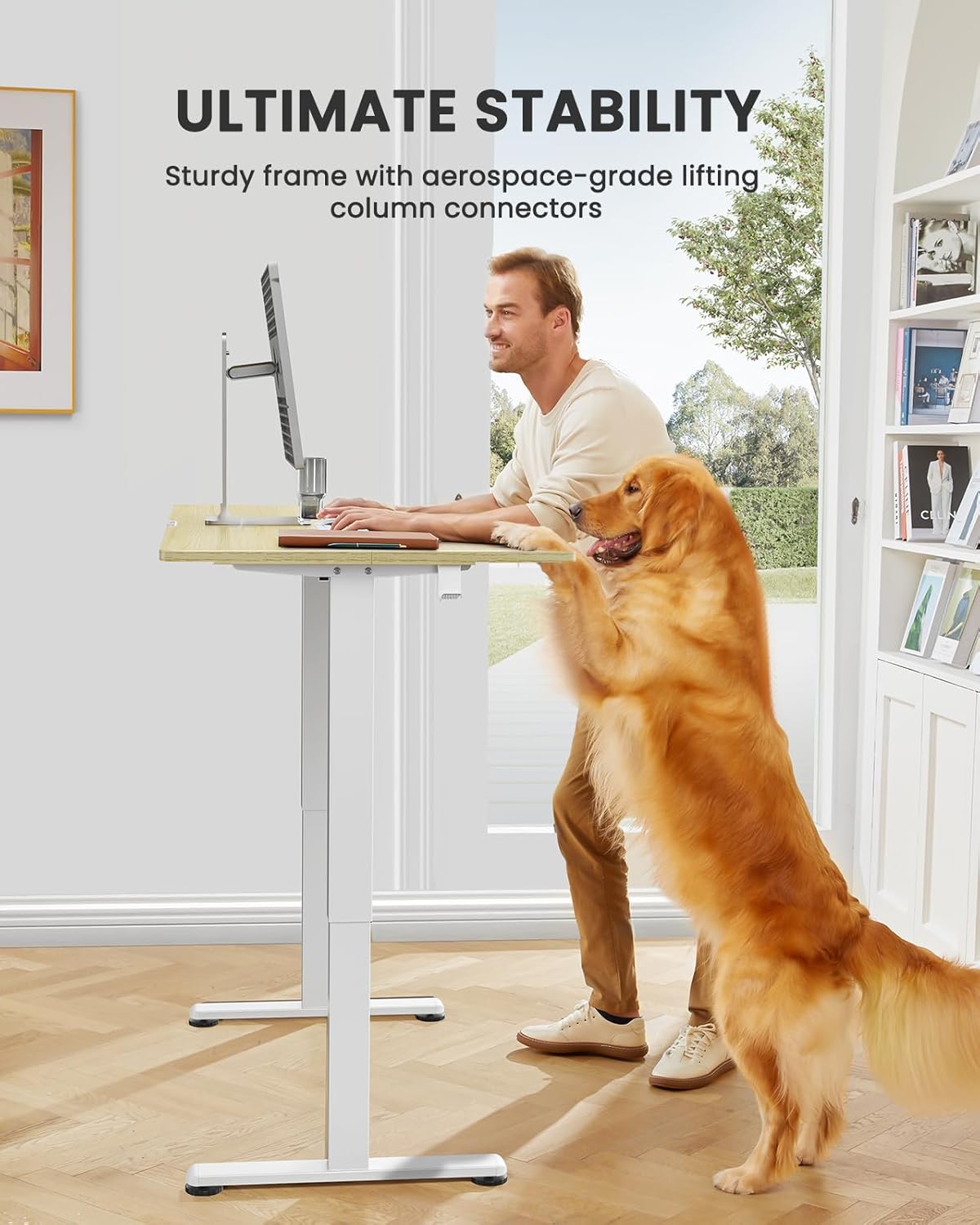 ErGear Electric Standing Desk, 44 x 24 Inches Height Adjustable Stand up Desk, Sit Stand Home Office Desk, with Two-Piece Desktop (Natural)