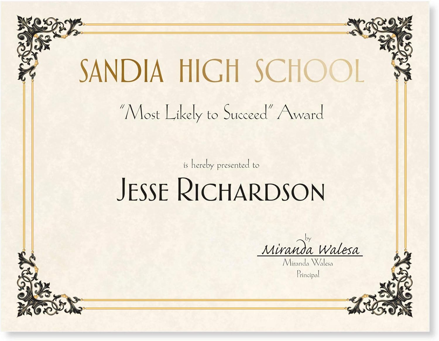 PaperDirect Black and Gold Accents on Renaissance Standard Certificates, 8½ x 11, 100 Count, Certificates And Awards Paper, For School, Work, Diplomas & Award Certificates