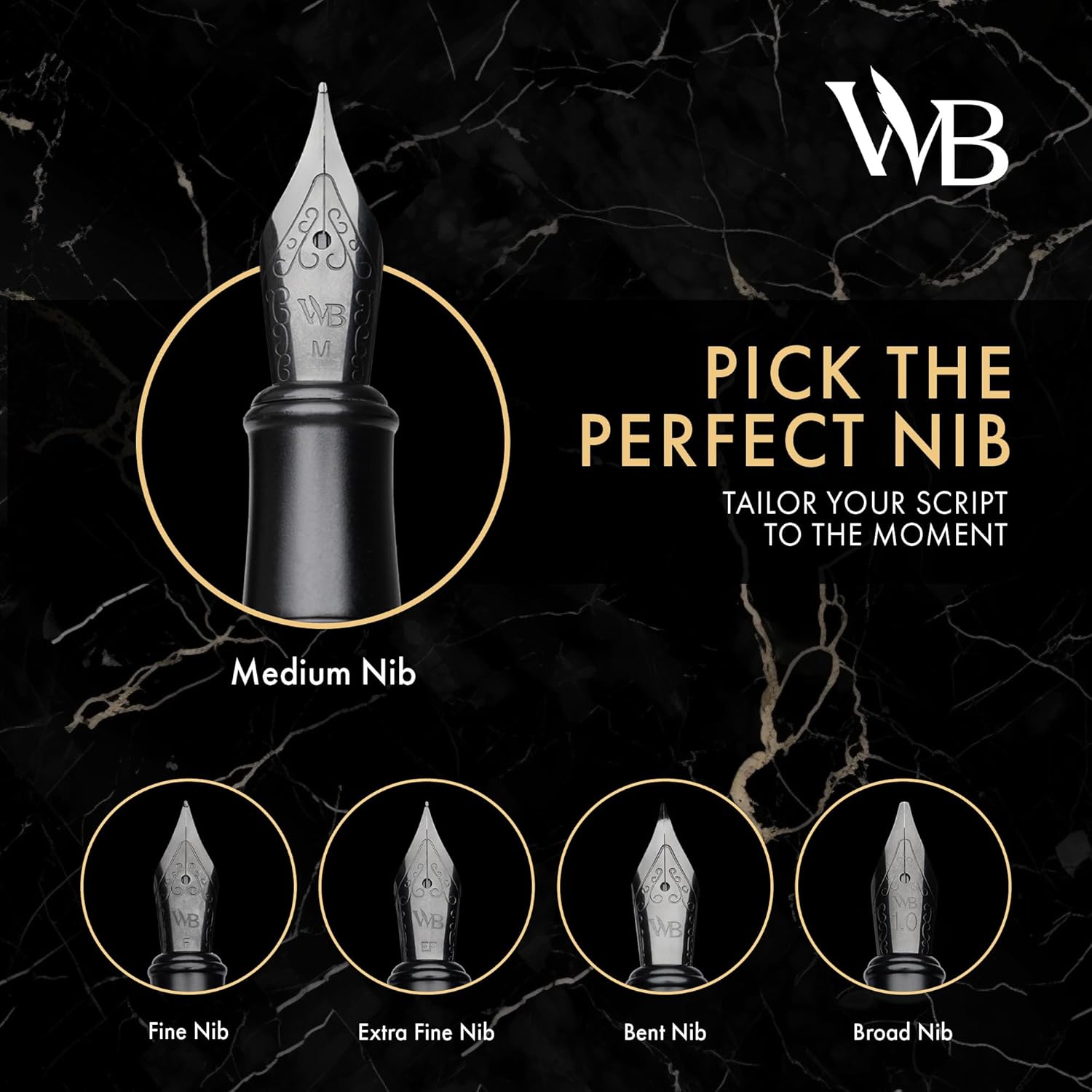 Wordsworth & Black Fountain Pen Set, Fine Nib, Includes 24 Pack Ink Cartridges, Ink Refill Converter & Gift Box, Calligraphy, [All Black], Perfect for Men & Women