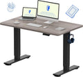 FLEXISPOT EN1 Whole-Piece Standing Desk 48 x 30 Inches Height Adjustable Electric Desk Sit Stand Desk Home Office Desks (Black Frame + Gray Wood Grain Top, 2 Packages)