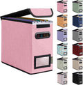 BALEINE File Organizer Box with Lid, Collapsible File Folder Organizer with Plastic Slide, Hanging File Folder Box for Office Document Storage (1 Pack, Pink, S)