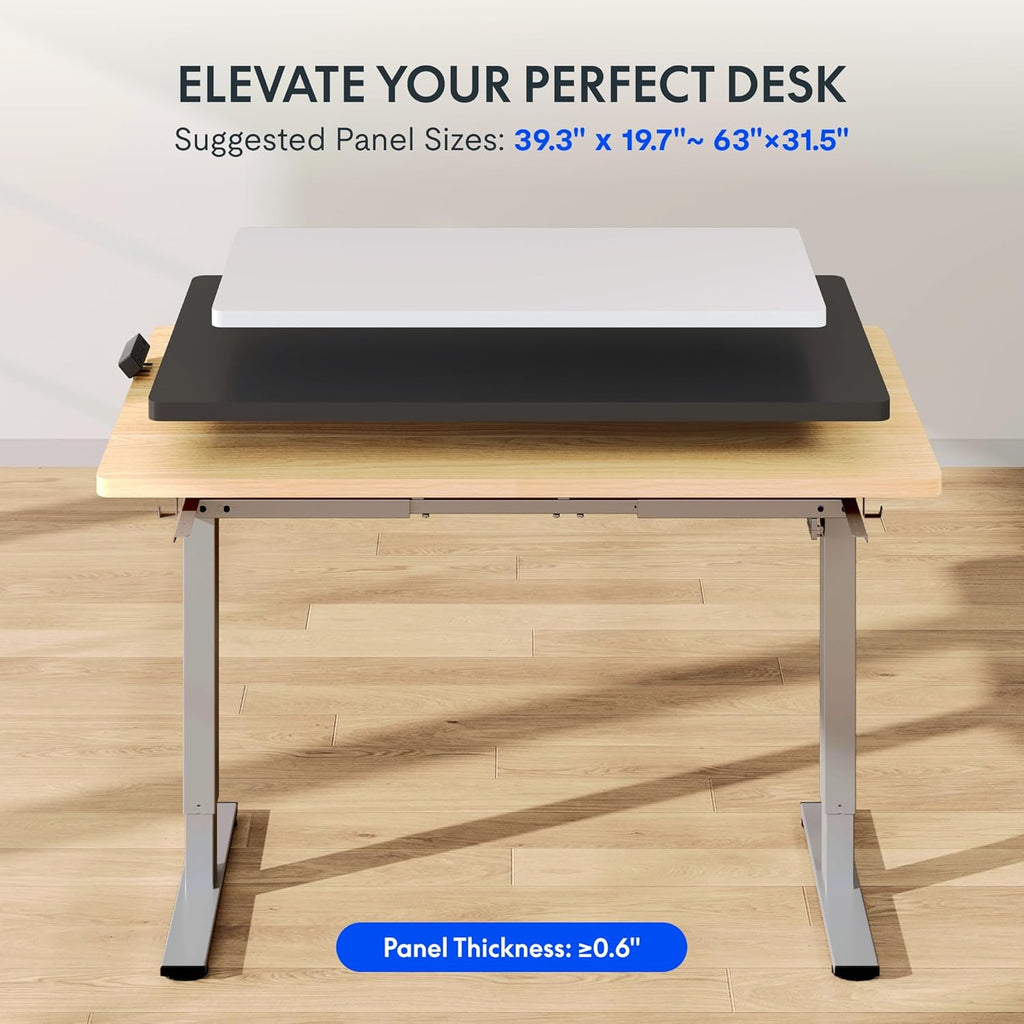 FLEXISPOT Standing Desk Frame with Clamp Power Strip and Cable Management Tray, Electric Sit Stand Desk Base with Memory Controller for Home and Office (Gray Frame Only)