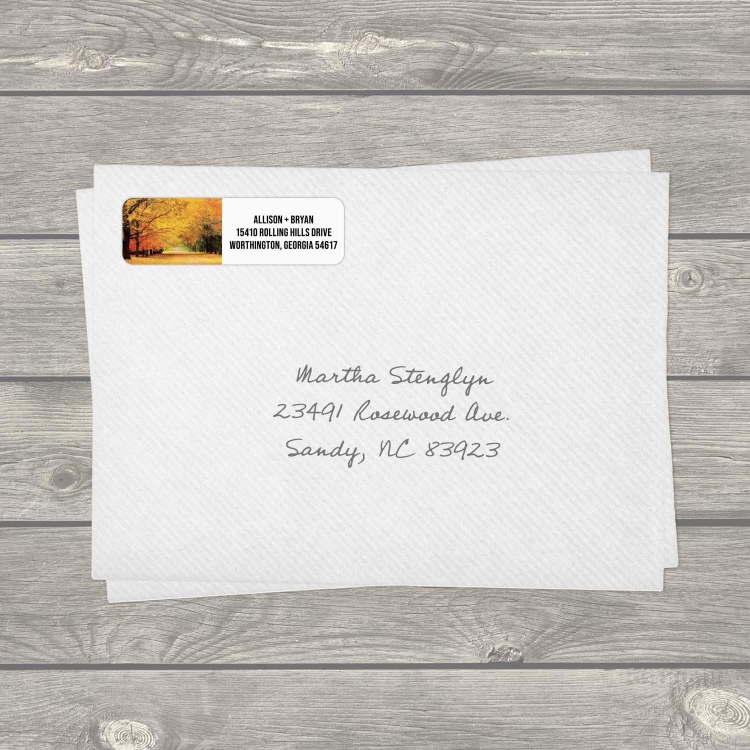Scenic Landscape Rolled Address Labels / 500 Personalized Return Address Labels/Designer Address Stickers in Elegant Plastic Dispenser