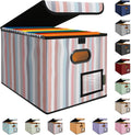 BALEINE File Organizer Box with Lid, Collapsible File Folder Organizer with Plastic Slide, Hanging File Folder Box for Office Document Storage (1 Pack, Color Stripe)