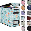 BALEINE File Organizer Box with Lid, Collapsible File Folder Organizer with Plastic Slide, Hanging File Folder Box for Office Document Storage (1 Pack, Spring Stroll, S)