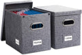 PRANDOM File Organizer Box - Set of 2 Collapsible Decorative Linen Filing Storage Hanging File Folders with Lids Office Cabinet Letter Size Grey (14x9.3x10.8 inch)