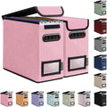BALEINE File Organizer Box with Lid, Collapsible File Folder Organizer with Plastic Slide, Hanging File Folder Box for Office Document Storage (2 Pack, Pink, S)
