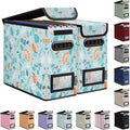 BALEINE File Organizer Box with Lid, Collapsible File Folder Organizer with Plastic Slide, Hanging File Folder Box for Office Document Storage (2 Pack, Spring Stroll, S)
