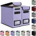 BALEINE File Organizer Box with Lid, Collapsible File Folder Organizer with Plastic Slide, Hanging File Folder Box for Office Document Storage (2 Pack, Purple, S)