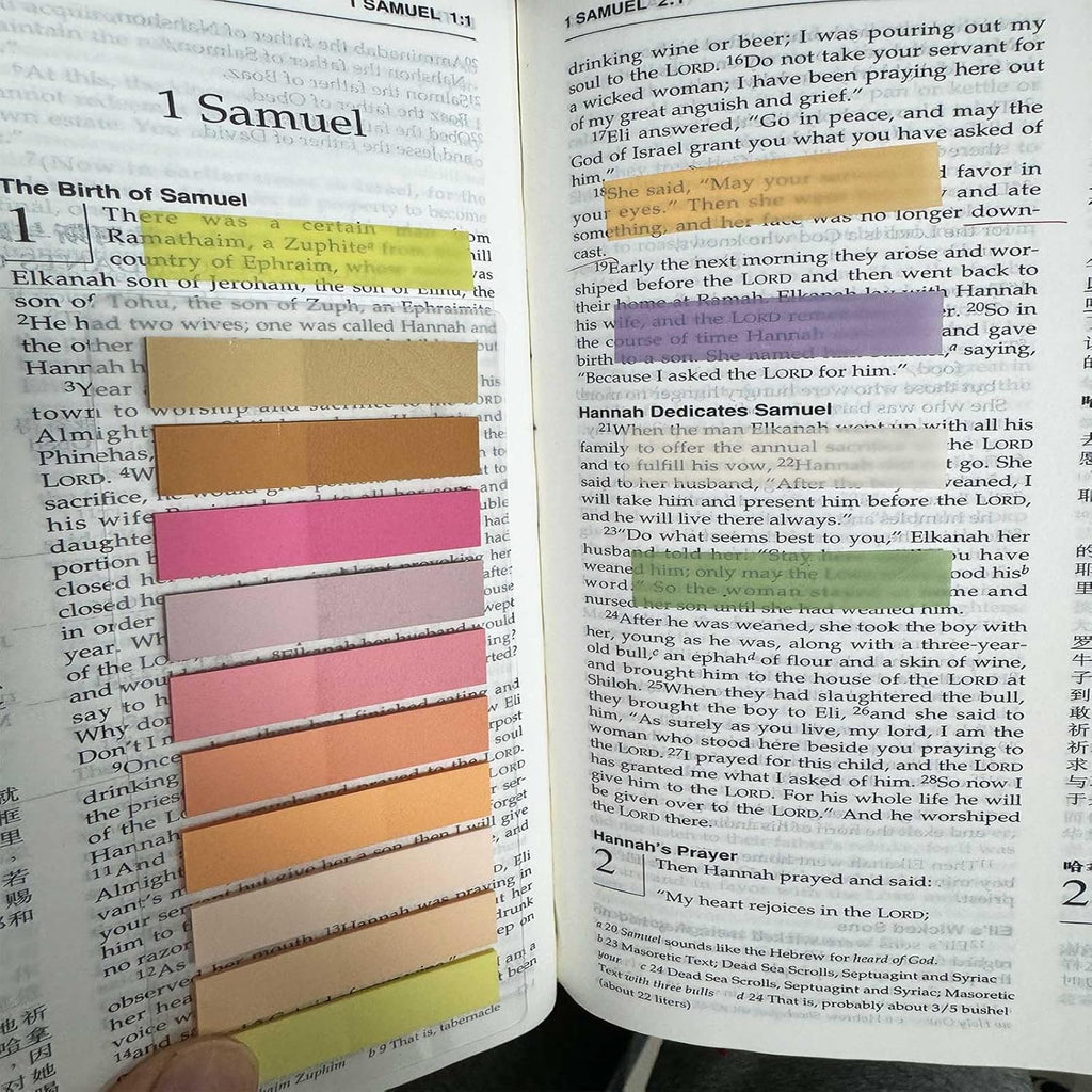 ELII 6000pcs Books Tabs for Annotating Page Tabs Morandi Sticky Index Tabs,Transparent Sticky Notes Tabs Label Stickers Index Tabs for Reading Notes, Classify File
