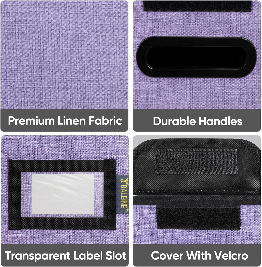 BALEINE File Organizer Box with Lid, Collapsible File Folder Organizer with Plastic Slide, Hanging File Folder Box for Office Document Storage (2 Pack, Purple, S)