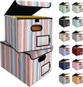 BALEINE File Organizer Box with Lid, Collapsible File Folder Organizer with Plastic Slide, Hanging File Folder Box for Office Document Storage (2 Pack, Color Stripe)