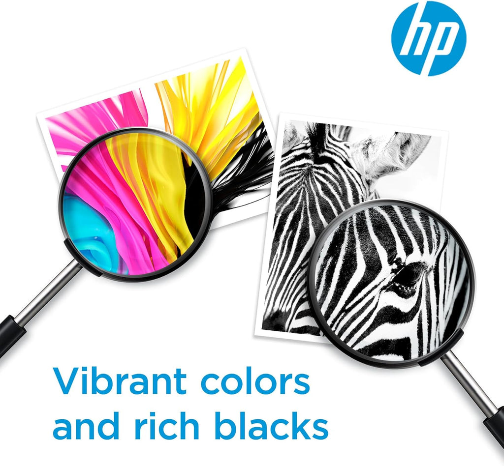 HP 67 Black Ink Cartridge for HP Printers, Works with DeskJet 1255, 2700, 4100 and ENVY 6000, 6400 Series, Eligible for Instant Ink, 3YM56AN