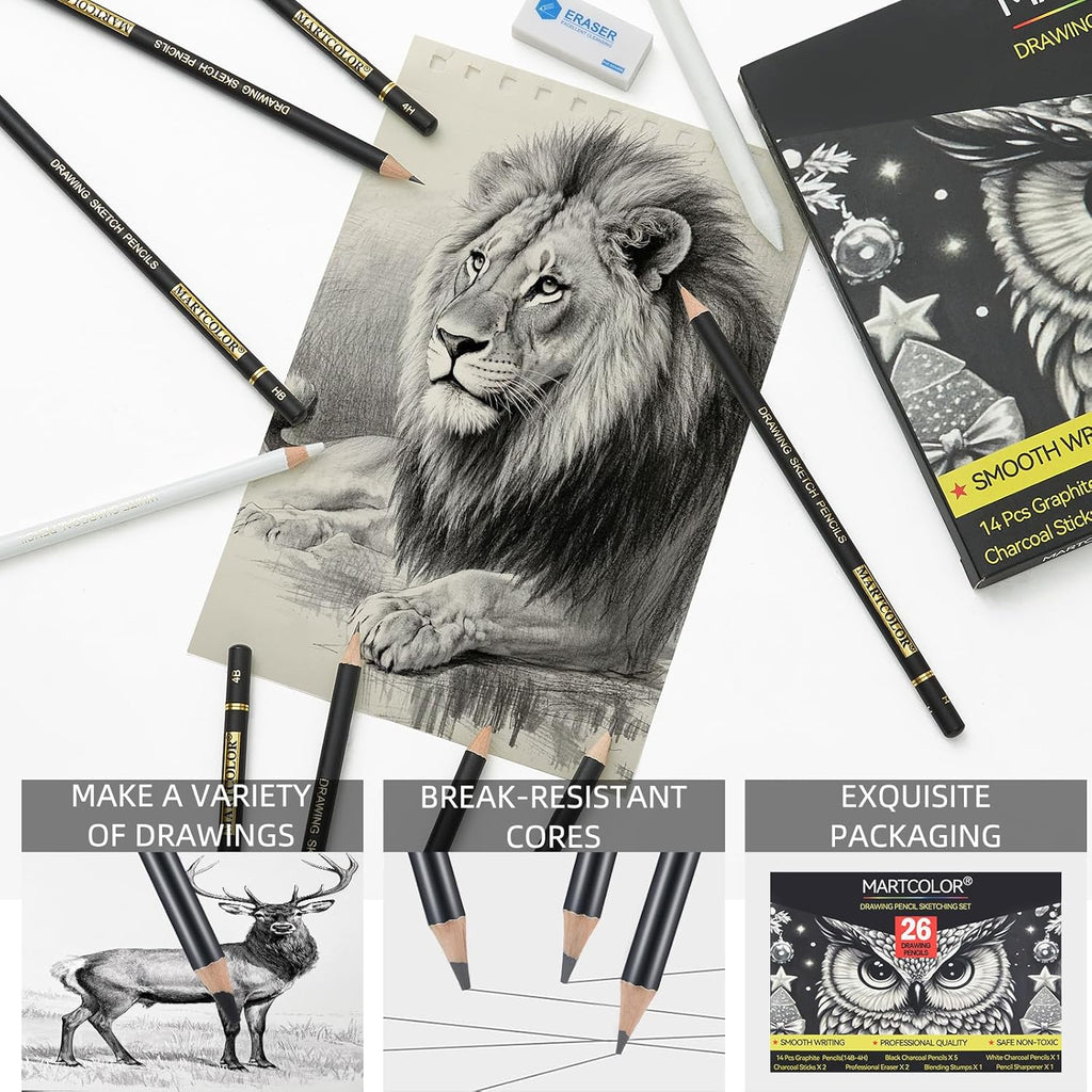 Drawing Sketching Pencil Set, 26 Pieces, Graphite Pencils (14B-4H), Charcoal Pencils, Charcoal Sticks, Blending Stump, Eraser, Sharpeners, Artist Pencils for Beginners & Pro Artists
