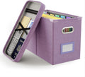 Oterri File Organizer with Lid, Hanging Filing Box with Mesh Pocket, Document Organizer for Letter Files, Portable Storage Box for Office & Home (1 PCS, Taro Purple)