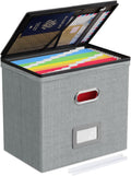Oterri 1 Pack File Organizer Boxes with Lids, File Box with Mesh Pockets, Document Organizer Box for File Folders Letter Size, Zippers Filing Box for Home, Office, School (Grey, Without Folders)